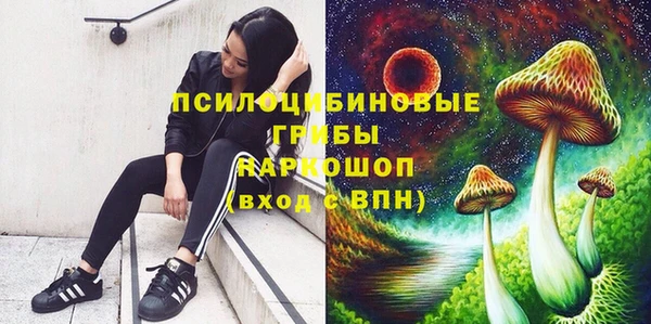 твердый Баксан