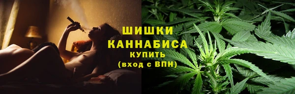 прущие грибы Балабаново