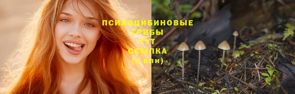 твердый Баксан