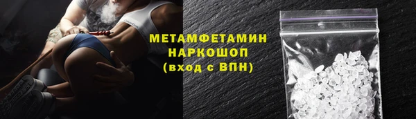 прущие грибы Балабаново