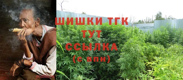 прущие грибы Балабаново