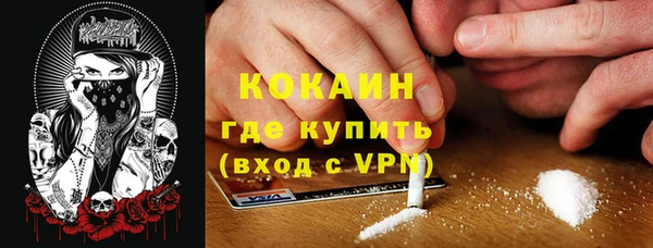 ПСИЛОЦИБИНОВЫЕ ГРИБЫ Балахна