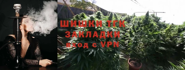 прущие грибы Балабаново