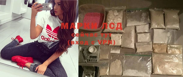 прущие грибы Балабаново