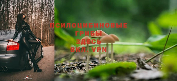 ПСИЛОЦИБИНОВЫЕ ГРИБЫ Балахна