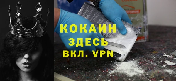прущие грибы Балабаново